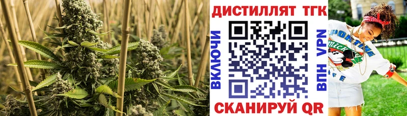 Дистиллят ТГК концентрат  Южа 