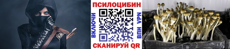 кракен зеркало  Южа  Псилоцибиновые грибы мицелий 